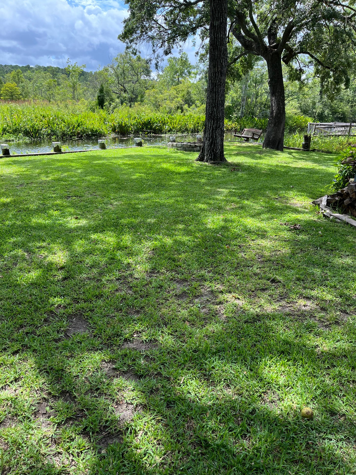 Regular Lawn Care maintenance