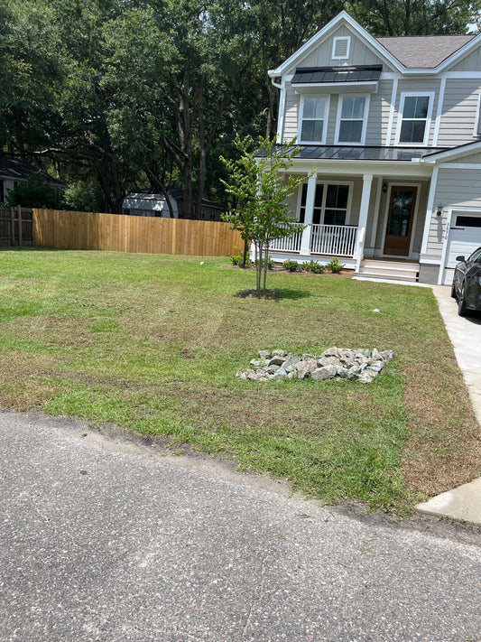 Regular Lawn Care maintenance